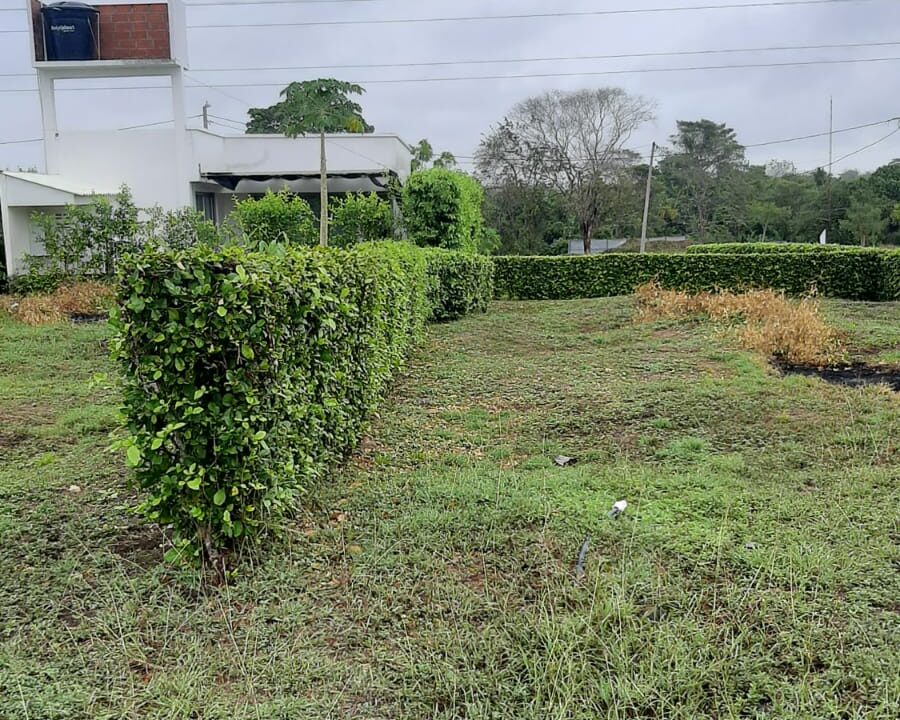 WhatsApp Image 2023-05-01 at 4.19.42 PM (6)